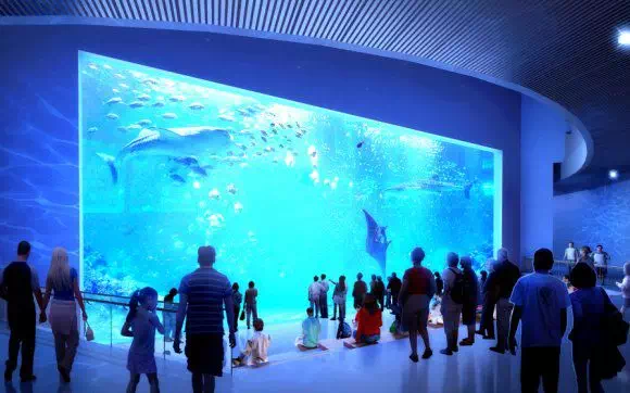  电竞文化节盛大开幕展现多元魅力