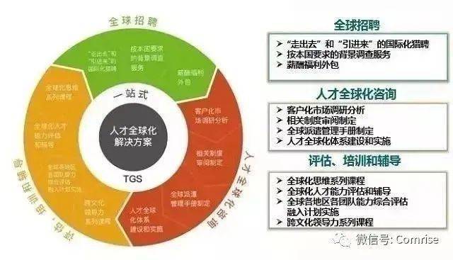  技术台数据亮真相，高效表现印证团队实力